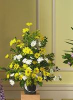 White and Yellow Triangular