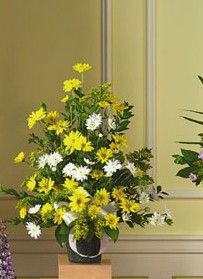 White and Yellow Triangular