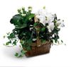 White Assortment Basket White Assortment Basket