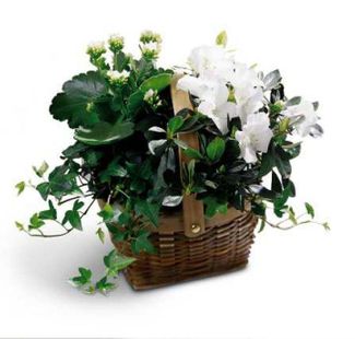 White Assortment Basket 