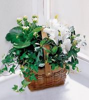 White Assortment Basket
