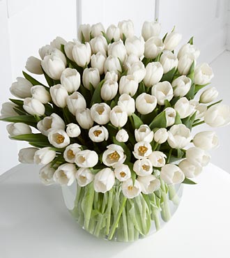 white blooms