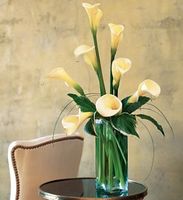 White Callas