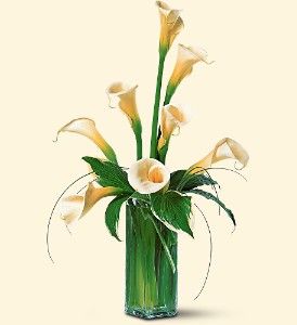 White Callas Arrangements