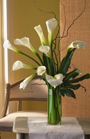 White callas Bouquet