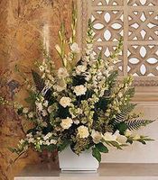 White Expressions for sympathy