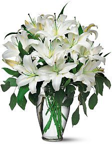 White Lilies