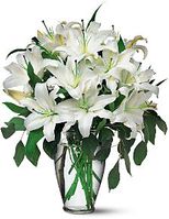 White Lilies