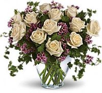 White Rose Flowers 