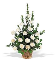 White Simplicity Basket 