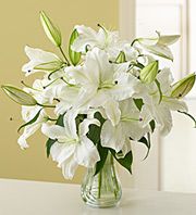 White Stargazer Lilies