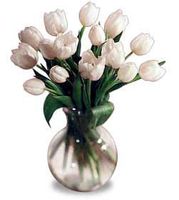 White Tulips Bouquet White Tulips Bouquet