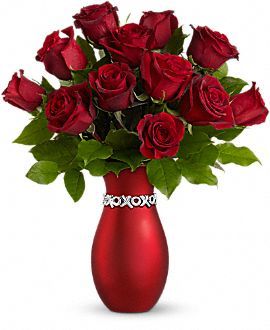 XOXO Long Stemmed Roses Valentine