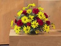 Yellow daisy and Red Carnations