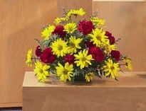 Yellow daisy and Red Carnations