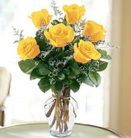 Yellow rose