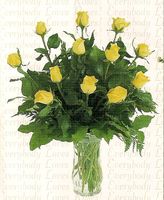 Yellow Rose