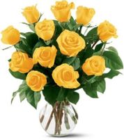 Yellow Roses Yellow Roses