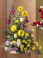 Yellow Rover Arrangement