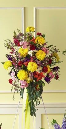 Yellow Standing Spray