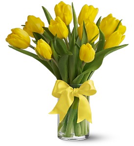 Yellow Tulips 