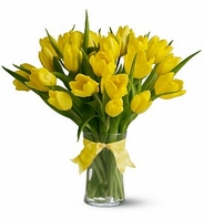 Yellow Tulips  Deluxe