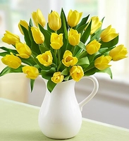 Yellow Tulips in Pitcher 