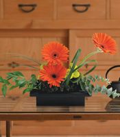 Zen Gerbera Bowl