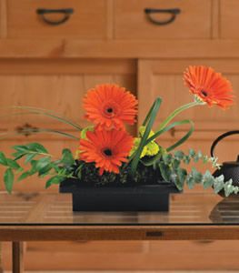 Zen Gerbera Bowl