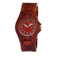 Earth Seto03 Xylem Watch
