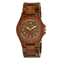 Earth Seto04 Xylem Watch