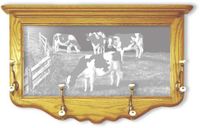 "Amazing Grace" Cows Etched Mirror Coat Rack