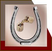 Barrel Hinge