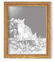 Cats Smaller Rectangular Oak Frame Mirror