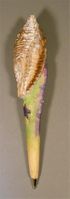 Conch Shell Handcarved Wood Pen