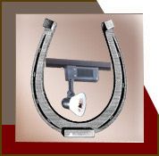 Customizable Track Lighting