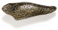 Driftwood Pewter Cabinet Knob/Pull