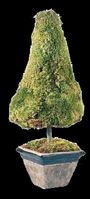 Garden Accessories Green Ceramic Pot, 12 1/2" Cone Topiary