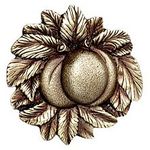 Georgia Peach Cabinet Knob, Antique Brass