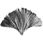 Ginko Leaf Cabinet Knob, Bright Nickel