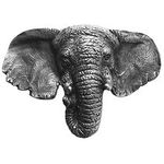 Goliath Elephant Cabinet Knob, Antique Pewter