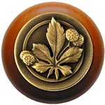 Horse Chestnut Cherry Cabinet Knob, Antique Brass