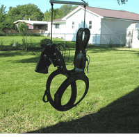 Horse Tire Swing