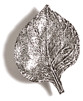 Hydranga Leaf Cabinet Knob/Pull