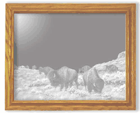 "Into The Herd" Buffalo Rectangular Oak Frame Mirror