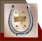 Invisible Hinge