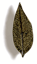 Jasmine Leaf Cabinet Knob/Pull
