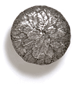 Large Leaves Cabinet Knob