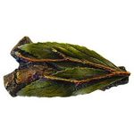 Leafy Twig Cabinet Knob, Hand Tinted Brass