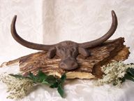 Longhorn Steer Wall Hook